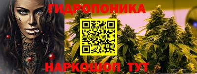 молекула духа Лесосибирск
