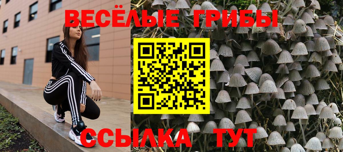 Галлюциногенные грибы Cubensis  Вход с VPN  Благовещенск 