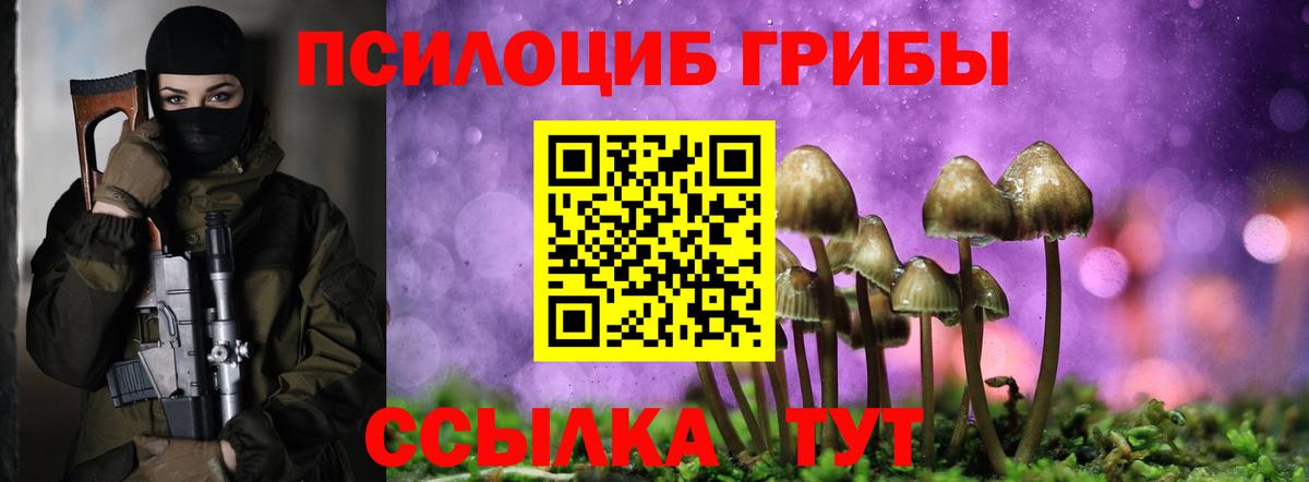 Галлюциногенные грибы GOLDEN TEACHER Благовещенск